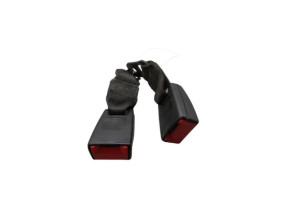 Attache ceinture arriere gauche SMART FORFOUR 1 Photo n°1