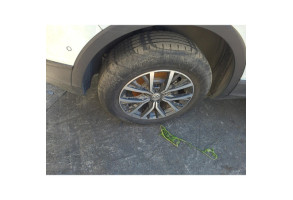 Eclairage de plafonnier VOLKSWAGEN TIGUAN 2 Photo n°13