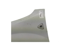 Aile avant gauche RENAULT KANGOO 2 Photo n°1