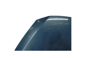 Capot RENAULT AVANTIME Photo n°1
