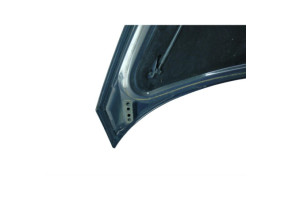 Capot RENAULT AVANTIME Photo n°2