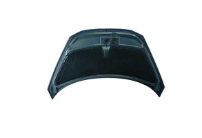 Capot RENAULT AVANTIME Photo n°5