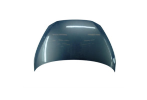 Capot RENAULT AVANTIME Photo n°6