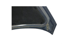 Capot RENAULT AVANTIME Photo n°8