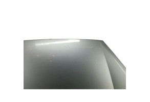 Capot FORD S-MAX 1 Photo n°1
