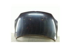 Capot VOLKSWAGEN GOLF PLUS Photo n°1