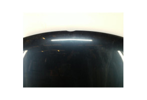 Capot VOLKSWAGEN GOLF PLUS Photo n°6