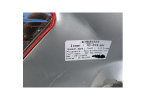 Bouton de warning PEUGEOT 3008 1 Photo n°7