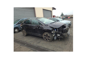 Bouton de warning PEUGEOT 3008 1 Photo n°13