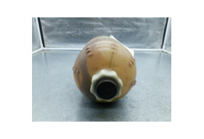 Vase d'expansion RENAULT EXPRESS Photo n°1