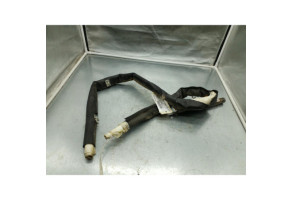 Air bag rideau gauche RENAULT SCENIC 3 Photo n°1