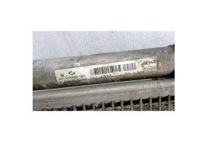 Radiateur clim RENAULT LATITUDE Photo n°2