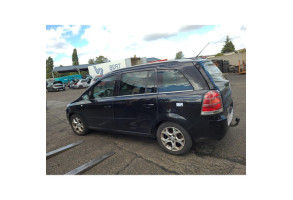 Porte avant gauche OPEL ZAFIRA B Photo n°16