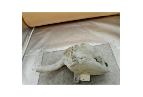 Vase de lave glace OPEL MERIVA A Photo n°1