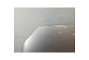 Capot RENAULT SCENIC 2 Photo n°2