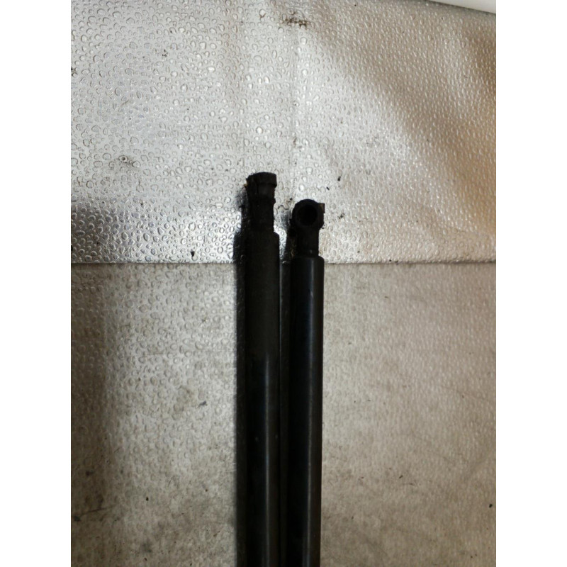 Verin de coffre BMW X5 E53 Photo n°1