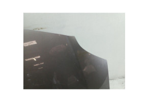 Capot RENAULT GRAND MODUS Photo n°1