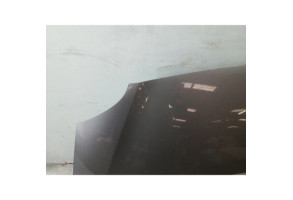 Capot RENAULT GRAND MODUS Photo n°2