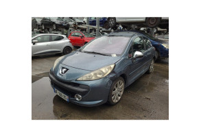 Glace retroviseur gauche PEUGEOT 207 Photo n°10