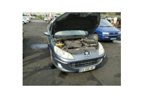 Porte arriere gauche PEUGEOT 407 Photo n°9