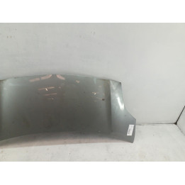 Capot TOYOTA YARIS 2 Photo n°1