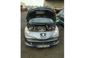 Glace retroviseur gauche PEUGEOT 207 Photo n°5