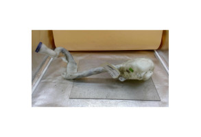 Vase de lave glace CITROEN C3 PICASSO Photo n°2