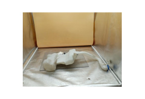 Vase de lave glace SUZUKI SPLASH Photo n°1