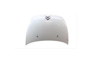 Capot CITROEN C3 PLURIEL Photo n°1