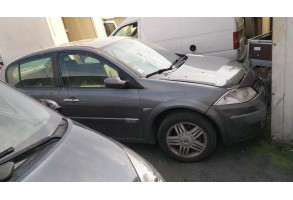 Porte arriere droit RENAULT MEGANE 2 Photo n°10