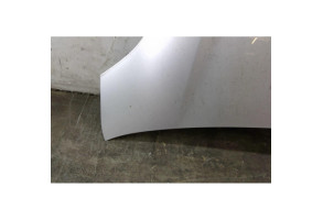 Capot TOYOTA YARIS 2 Photo n°1