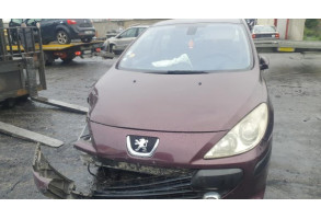Malle/Hayon arriere PEUGEOT 307 Photo n°3