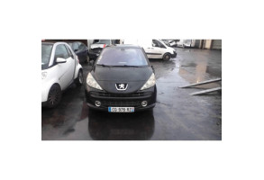 Porte avant droit PEUGEOT 207 Photo n°9
