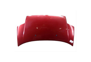 Capot CITROEN C2 Photo n°1