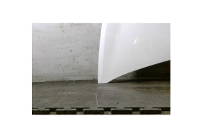 Capot RENAULT CLIO 3 Photo n°1