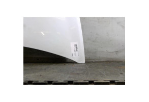 Capot RENAULT CLIO 3 Photo n°2