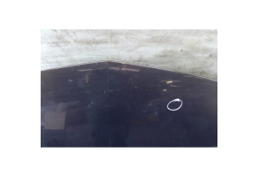 Capot RENAULT MODUS Photo n°5