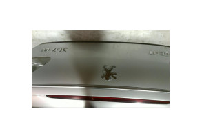 Malle/Hayon arriere PEUGEOT 307 Photo n°4