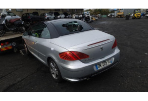 Malle/Hayon arriere PEUGEOT 307 Photo n°11