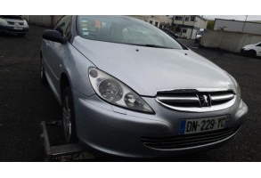 Malle/Hayon arriere PEUGEOT 307 Photo n°12