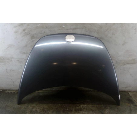 Capot VOLKSWAGEN NEW BEETLE 1