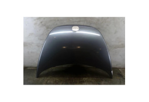 Capot VOLKSWAGEN NEW BEETLE 1 Photo n°1