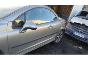 Vase de lave glace PEUGEOT 207 Photo n°6