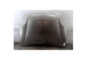 Capot FIAT BRAVO 2 Photo n°2