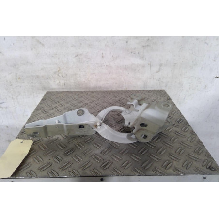 Charniere de capot RENAULT ZOE 1