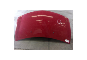 Capot RENAULT CLIO 3 Photo n°2