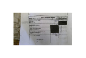 Boite de vitesses MERCEDES CLASSE A 169 Photo n°10