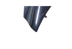Capot RENAULT SCENIC 3 Photo n°5