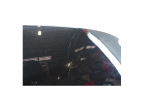 Capot RENAULT SCENIC 3 Photo n°7