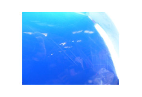 Capot CHRYSLER PT CRUISER Photo n°2